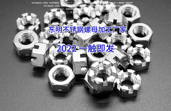 東明不銹鋼螺母加工廠家